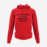 I'm Not Crazy, I'm Just Creatively Insane Hoodie